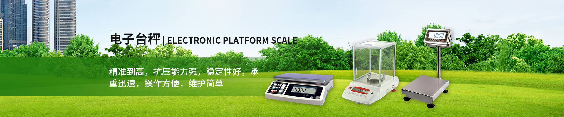  Electronic platform scale