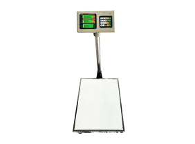  Electronic counting scale