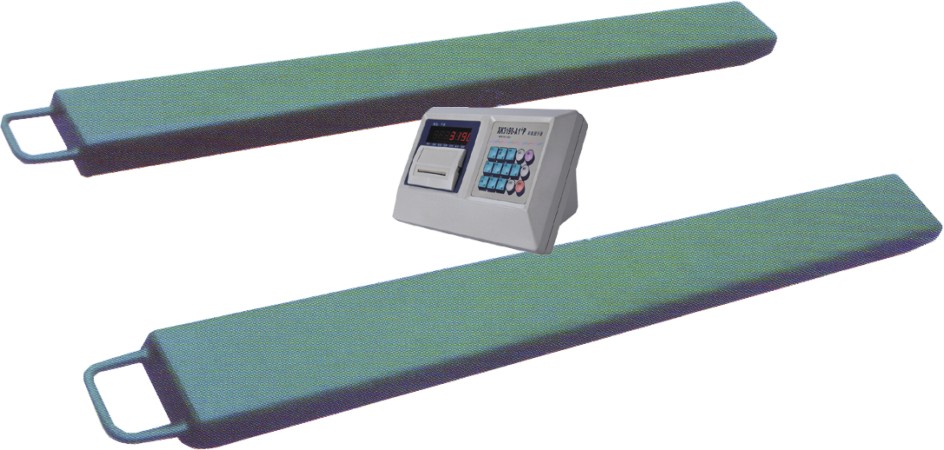  Strip weighbridge