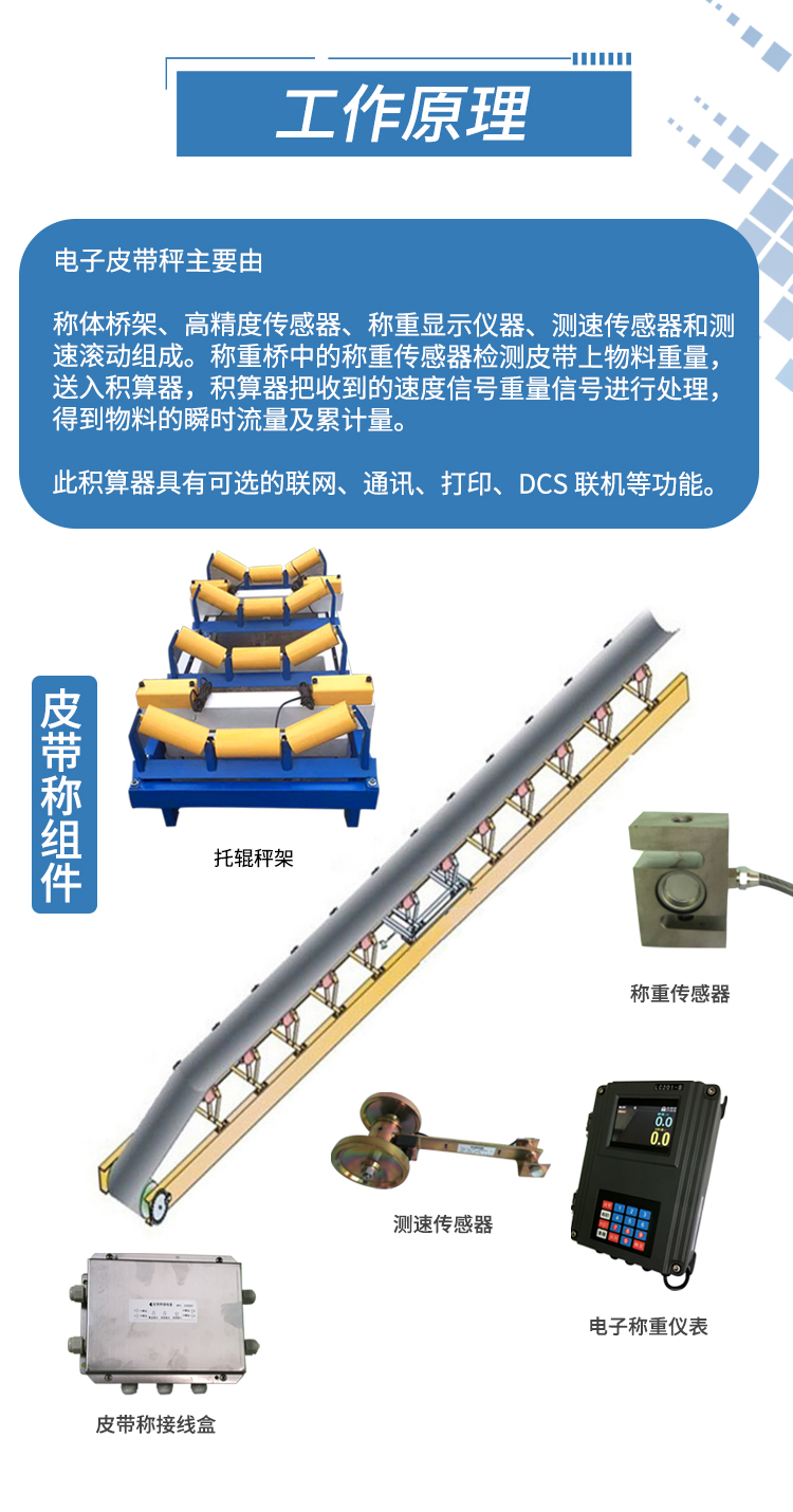  Details of electronic belt scale g_04.jpg